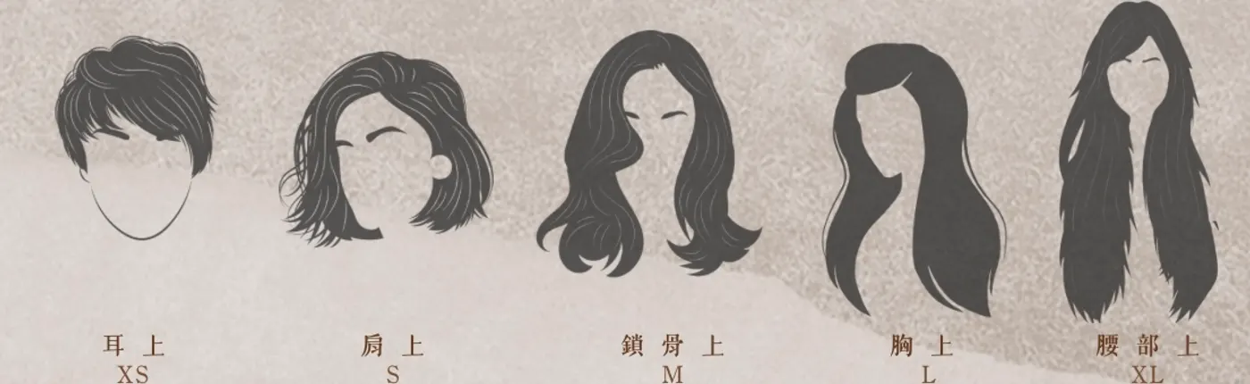 長度標準對照圖插畫:XS 耳上、S 肩上、M 鎖骨上、L 胸上、XL 腰部上